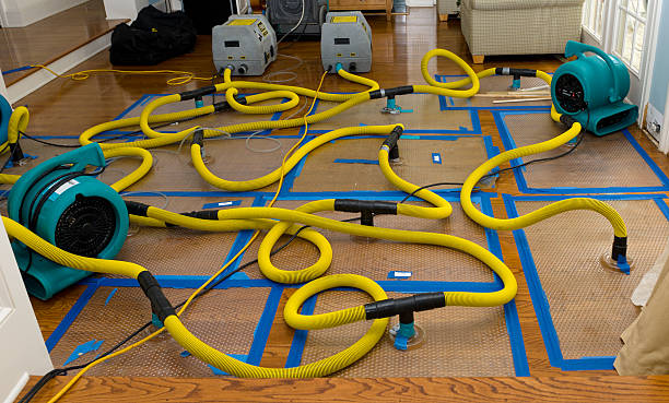 Professional Sewage Cleanup technician working in Kenly, NC